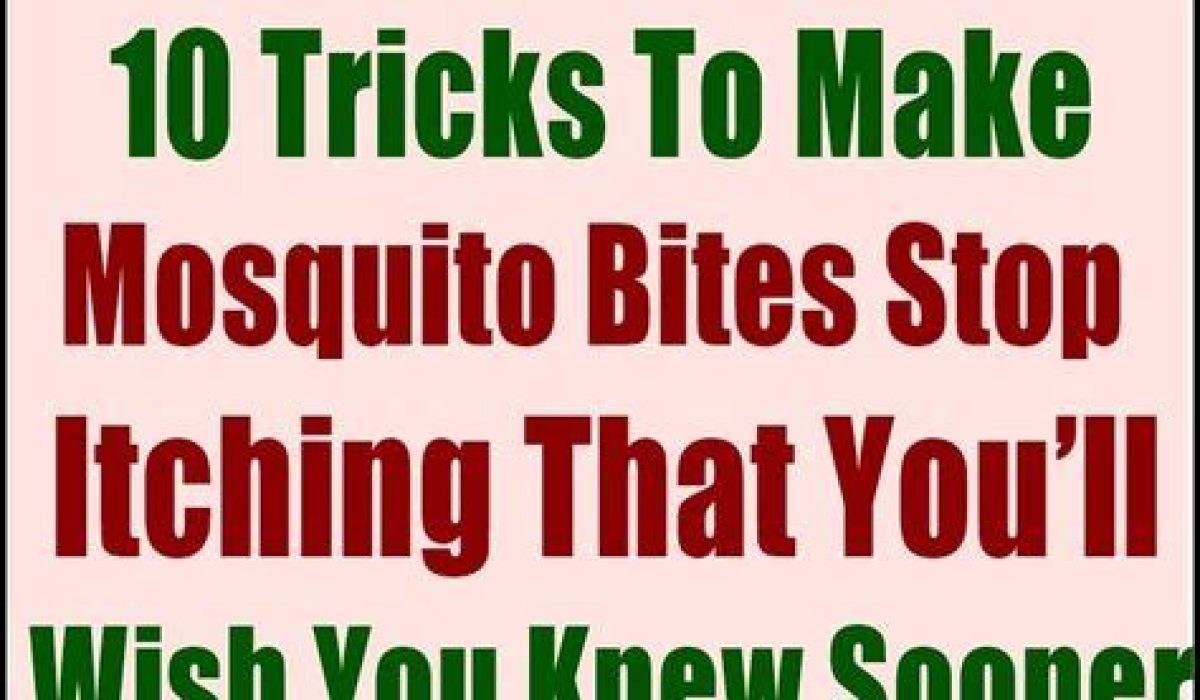 How To Stop Mosquito Bites From Itching